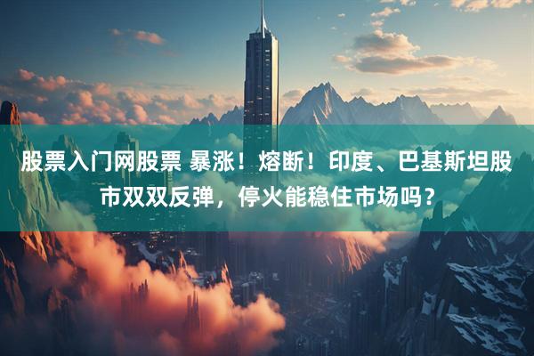 股票入门网股票 暴涨！熔断！印度、巴基斯坦股市双双反弹，停火能稳住市场吗？