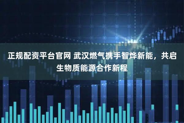 正规配资平台官网 武汉燃气携手智烨新能，共启生物质能源合作新程